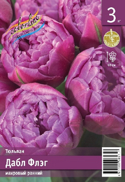 Тюльпан Дабл Флэг