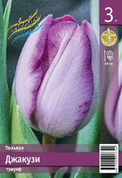 Тюльпан Джакузи