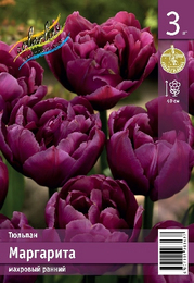 Тюльпан Маргарита