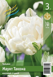 Тюльпан Маунт Такома