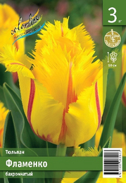 Тюльпан Фламенко