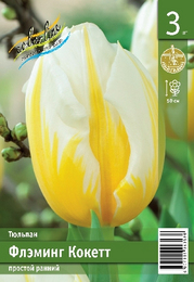 Тюльпан Флэминг Кокетт