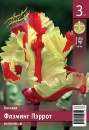 Тюльпан Флэминг Пэррот