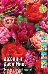 Тюльпан Даззлинг Дабл Микс