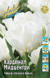 Тюльпан Кардинал Мидцентри