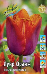 Тюльпан Лувр Оранж