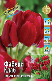 Тюльпан Файери Клаб