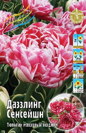 Тюльпан Даззлинг Сенсейшн