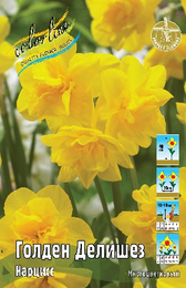 Нарцисс Голден Делишез