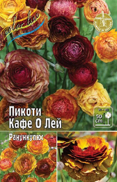 Ранункулюс Пикоти Кафе О Лей