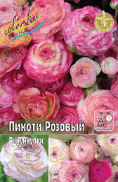 Ранункулюс Пикоти Розовый