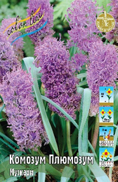 Мускари Комозум Плюмозум