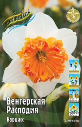 Нарцисс Венгерская Расподия