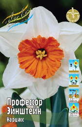Нарцисс Профессор Эйнштейн